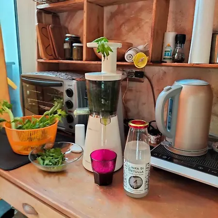 Casarosada Healing And Wellness Retreat